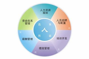 深圳辦理人力資源服務(wù)許可證全指南 條件、部門(mén)與流程