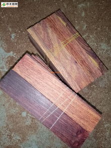 中國(guó)木材行業(yè)供應(yīng)商網(wǎng)新聞?lì)l道 洞察木材市場(chǎng)動(dòng)態(tài)，引領(lǐng)產(chǎn)業(yè)綠色發(fā)展